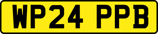 WP24PPB