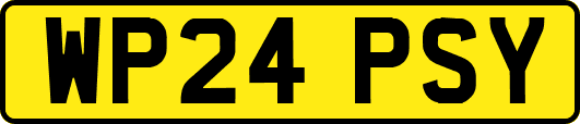 WP24PSY