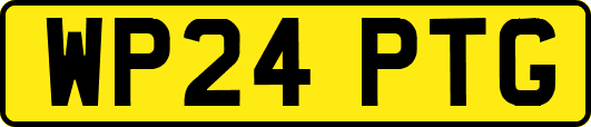 WP24PTG