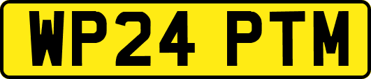 WP24PTM