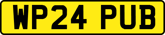 WP24PUB