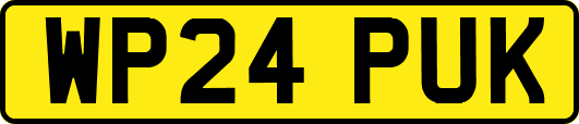 WP24PUK