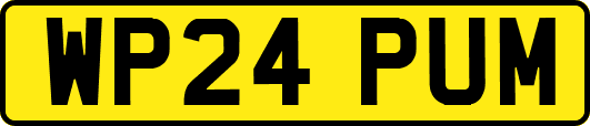 WP24PUM