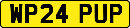 WP24PUP