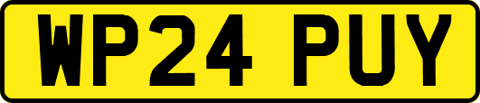 WP24PUY