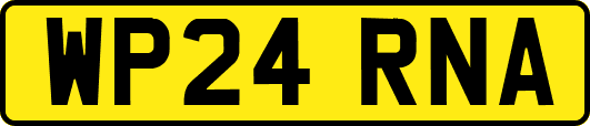 WP24RNA