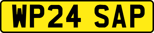 WP24SAP