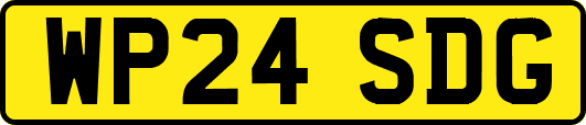 WP24SDG