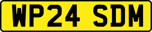 WP24SDM