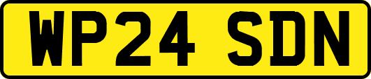 WP24SDN