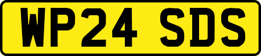 WP24SDS