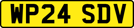 WP24SDV