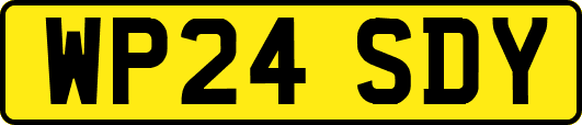 WP24SDY