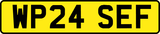 WP24SEF