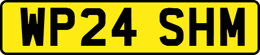 WP24SHM