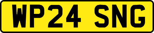 WP24SNG