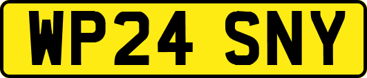 WP24SNY