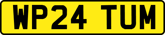 WP24TUM