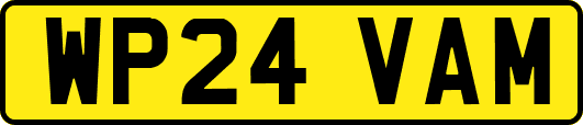 WP24VAM