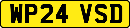 WP24VSD