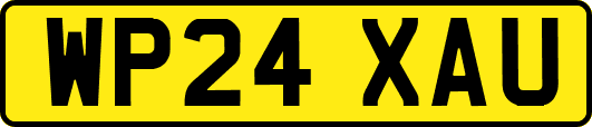WP24XAU