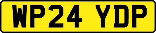 WP24YDP