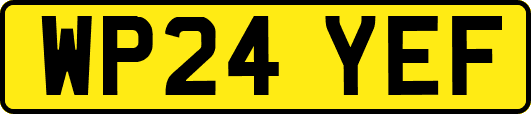 WP24YEF