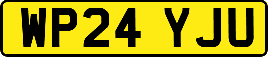 WP24YJU