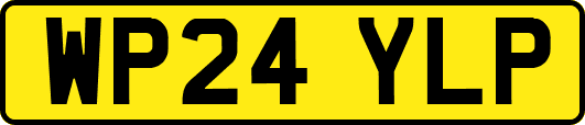 WP24YLP