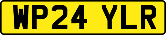 WP24YLR