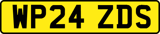 WP24ZDS