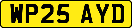 WP25AYD