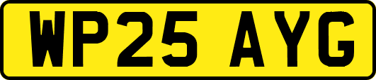 WP25AYG