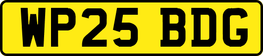 WP25BDG