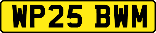 WP25BWM