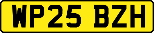 WP25BZH
