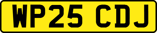 WP25CDJ
