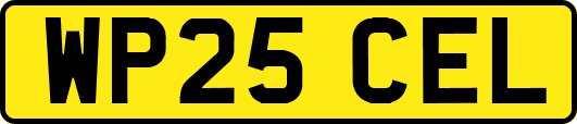 WP25CEL