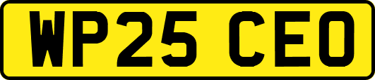 WP25CEO