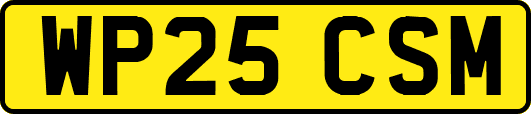 WP25CSM