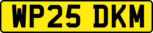WP25DKM