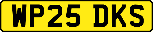 WP25DKS