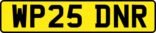 WP25DNR