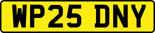 WP25DNY