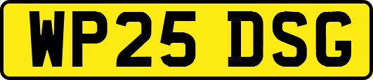 WP25DSG