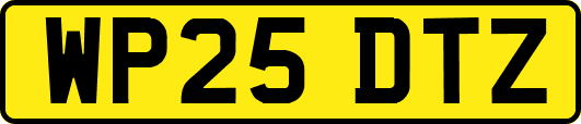 WP25DTZ