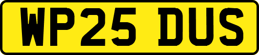 WP25DUS