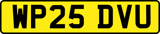 WP25DVU