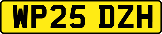 WP25DZH