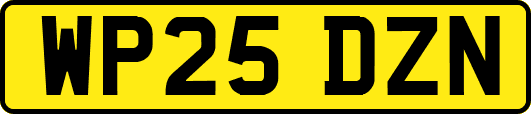 WP25DZN